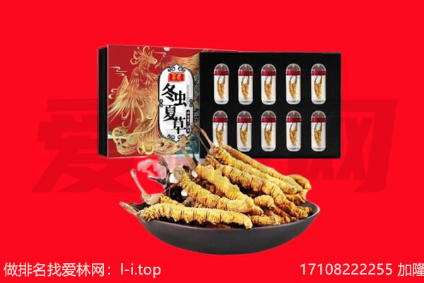 济南市历城回收虫草.jpg